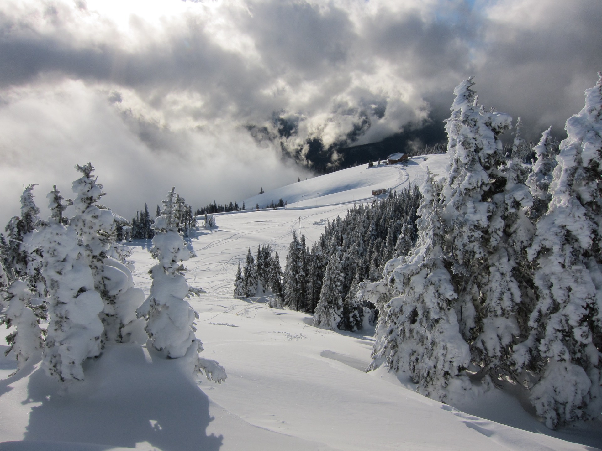 Scenic view of the Pacific Northwest coastline and mountains