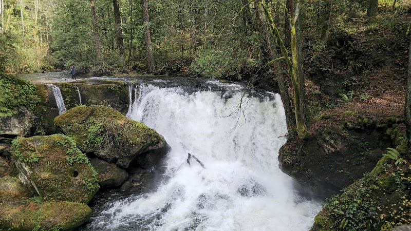 Whatcom Falls