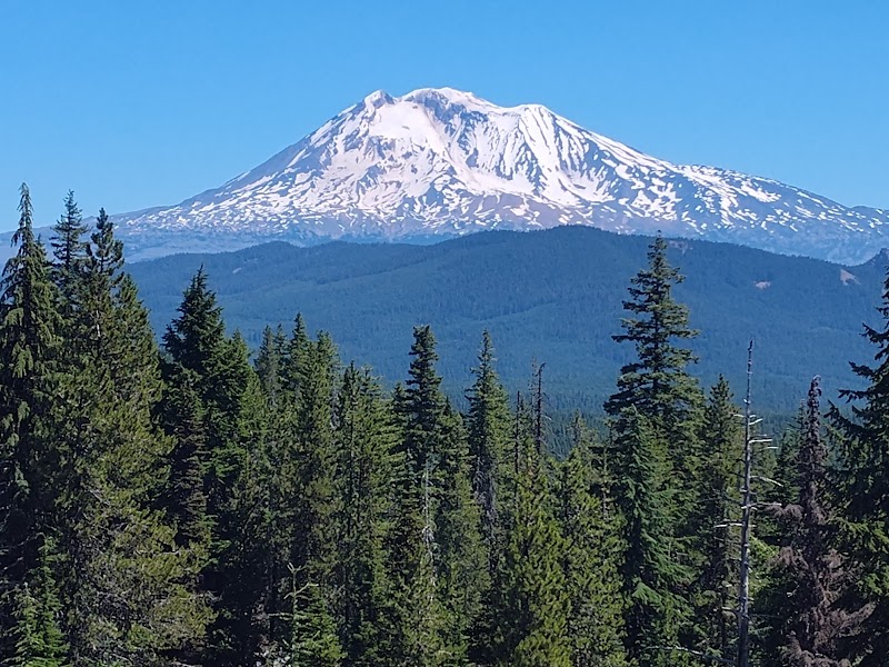Gifford Pinchot National Forest