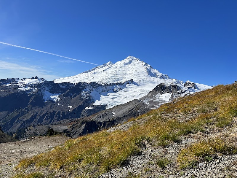 Mount Baker Wilderness