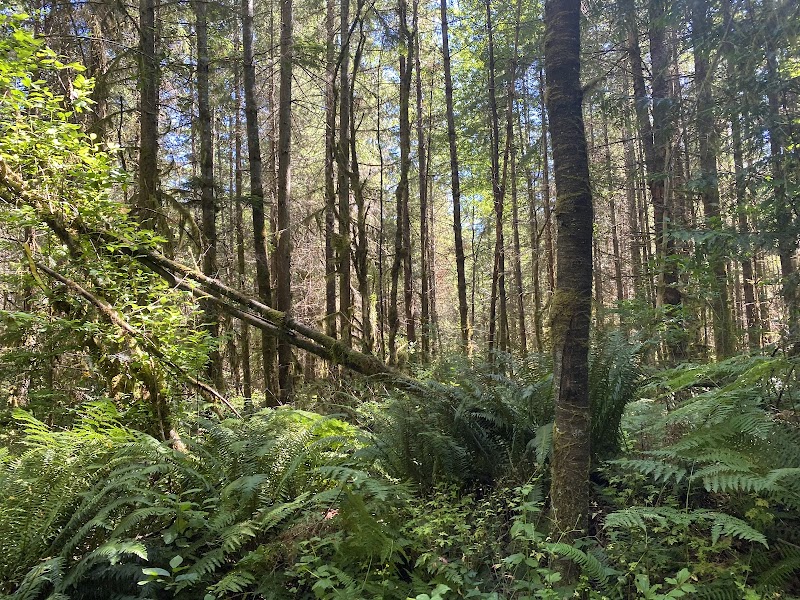 Paradise Valley Conservation Area Parking and Trail Head