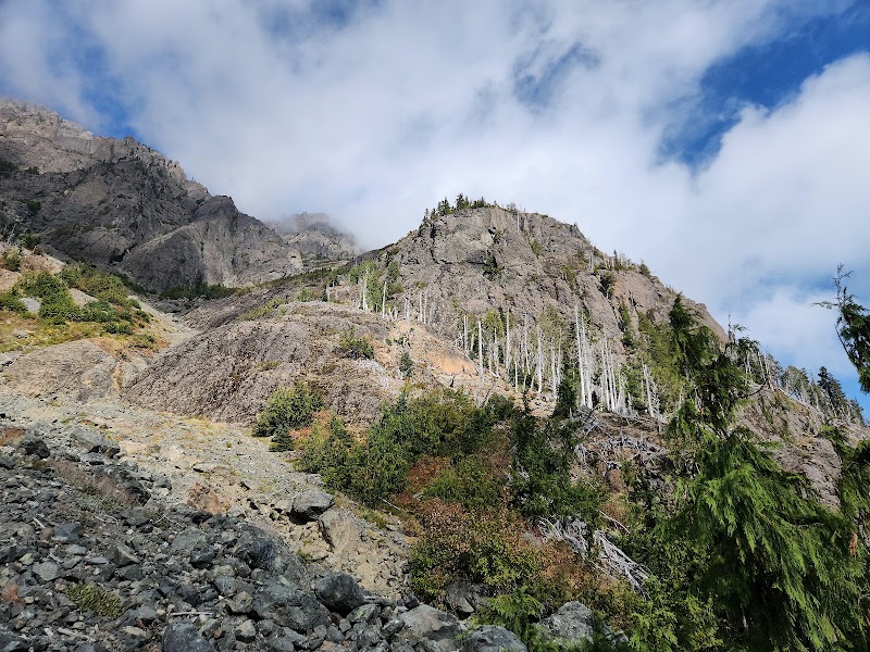 The Brothers Wilderness