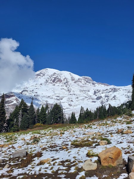 Evergreen Escapes