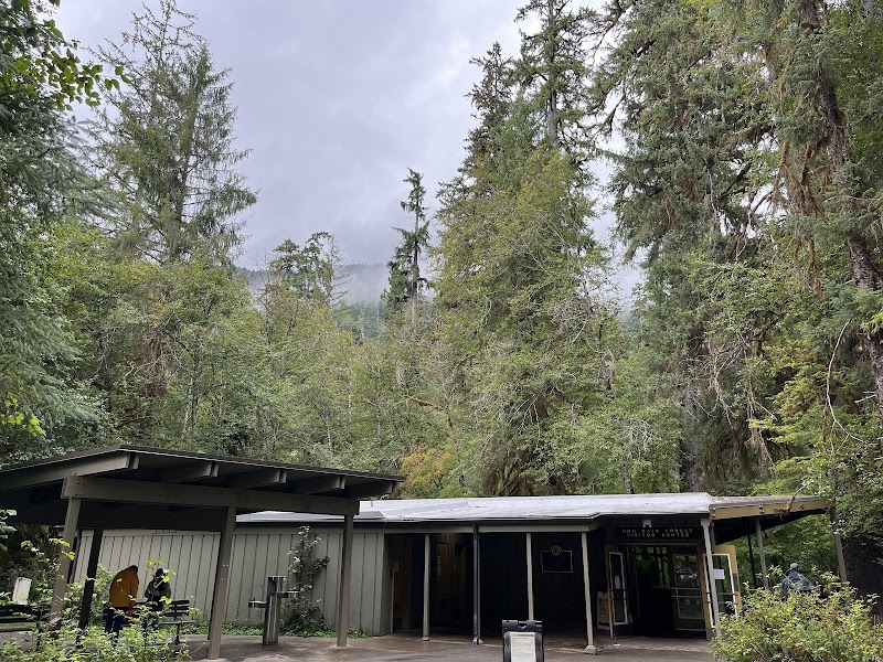 Hoh Rain Forest
