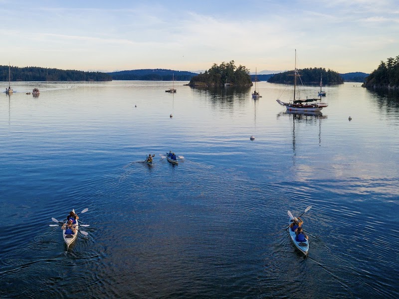 Shearwater Kayak Tours