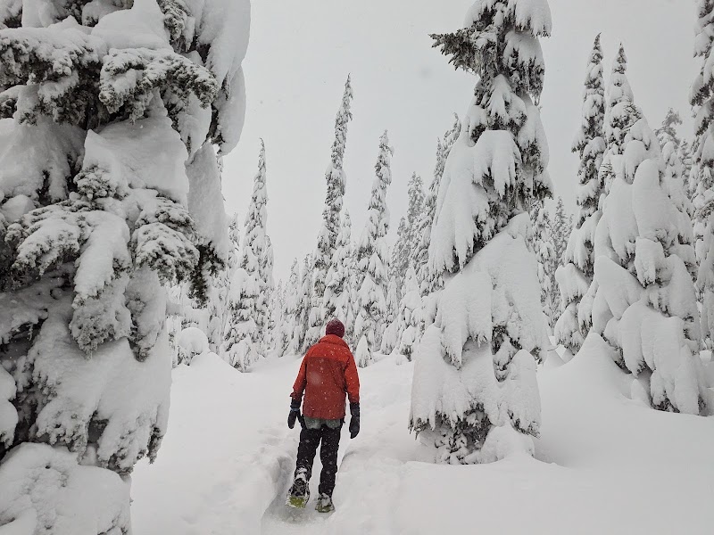 Skyline Lake Trail