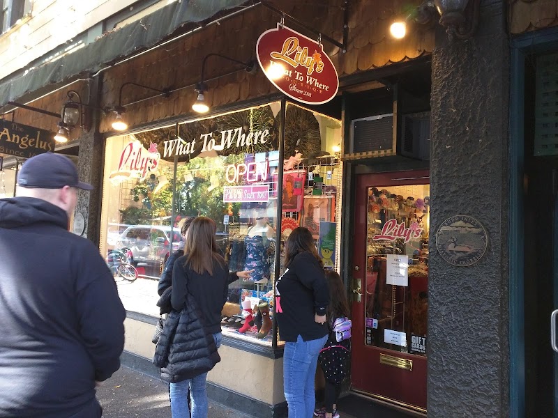 Lily's What To Where Boutique