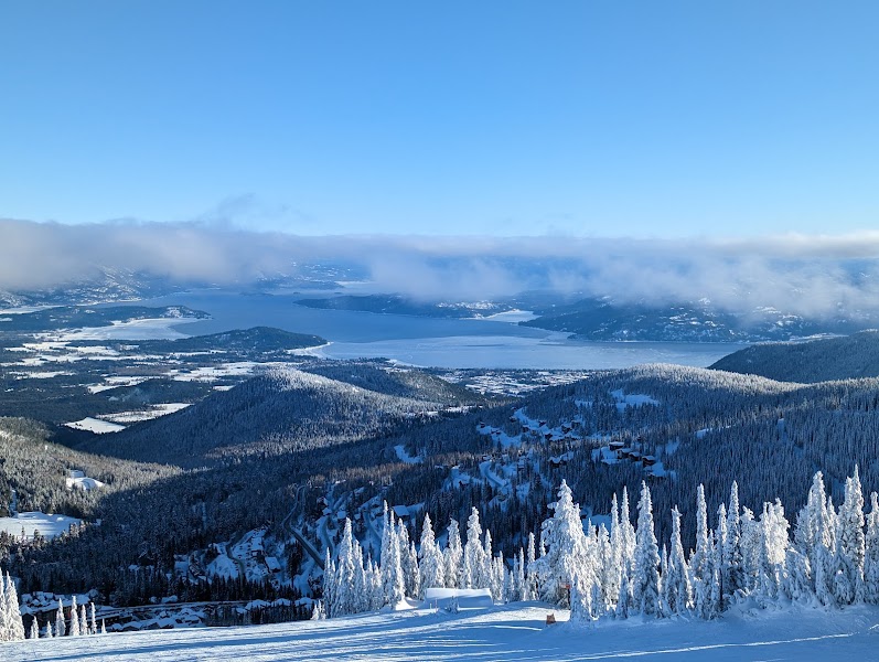 Schweitzer