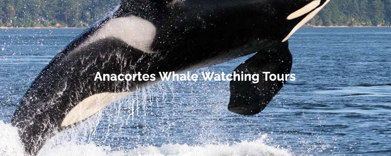 Anacortes Whale Watching Tours