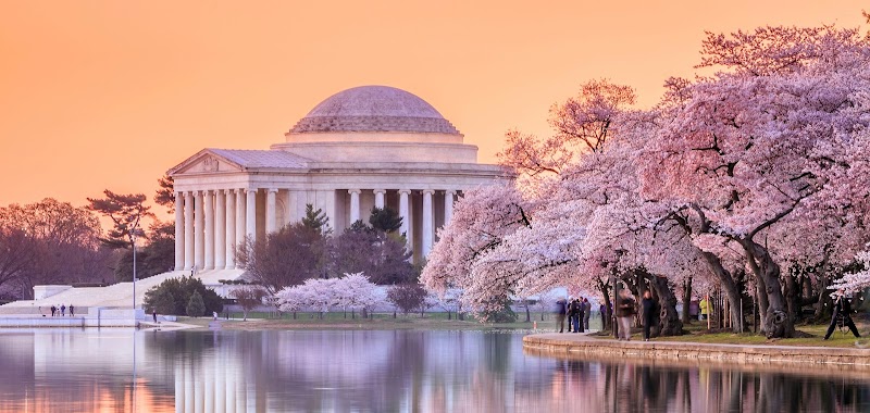Custom Tours of DC - Private Tour Agency