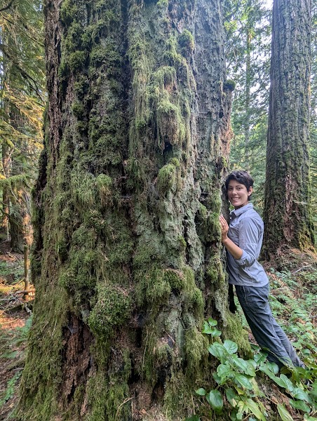 Magic Forest Tours