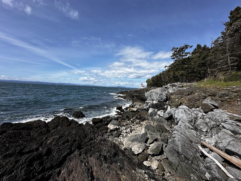 Orca Whale Watching Point
