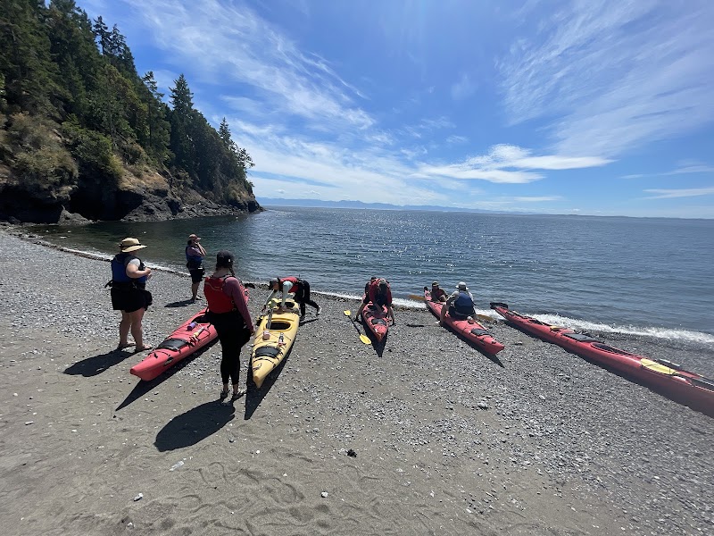 Outdoor Odysseys Sea Kayaking