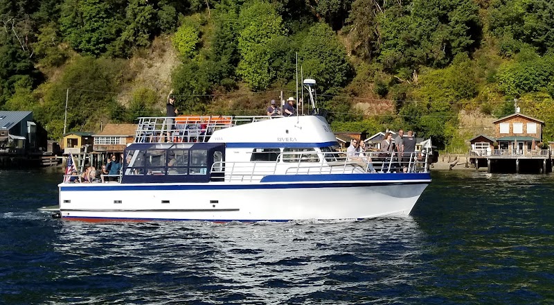 Riviera Cruises