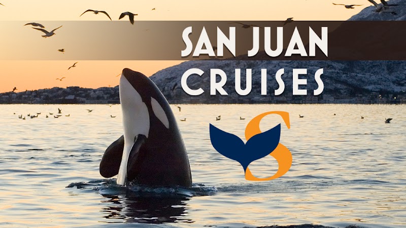 San Juan Cruises