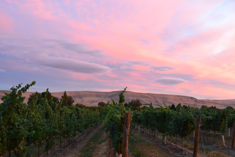 Washington Wine Country