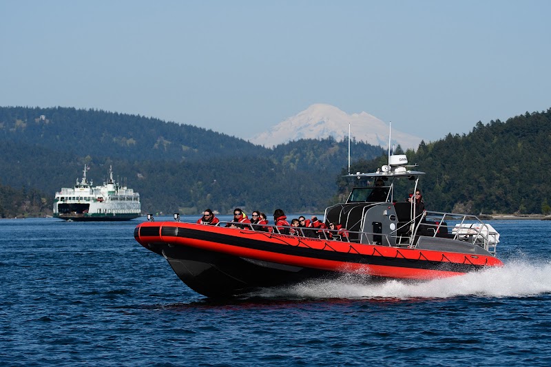 Western Prince Whale Watching Adventures
