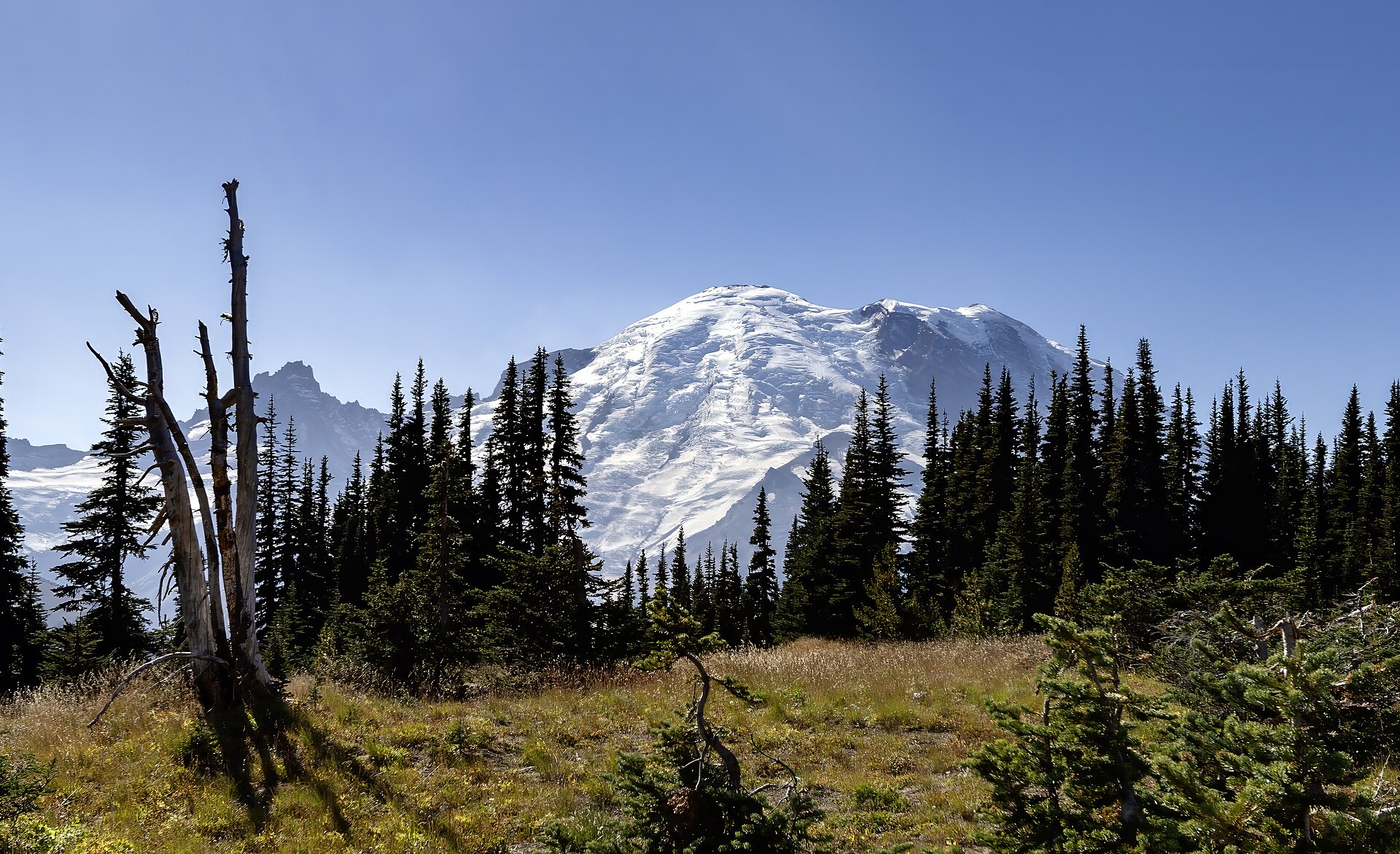 Mount Rainier viewed from the Sunrise area