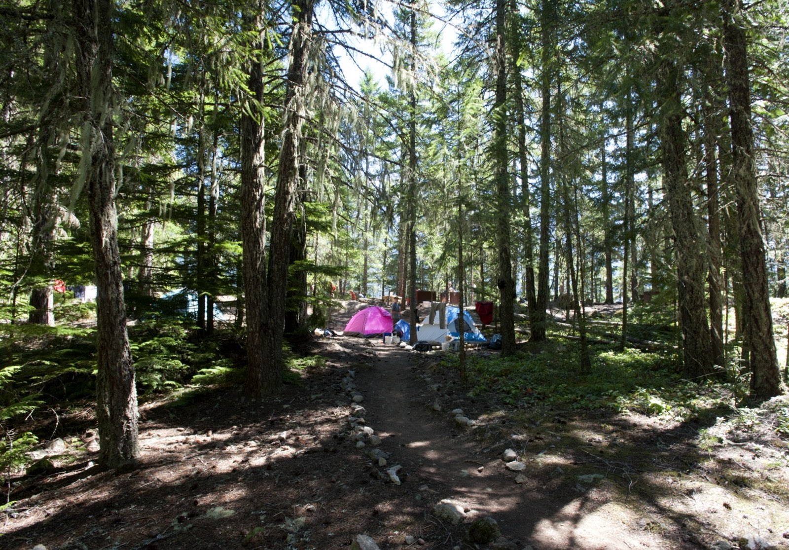 Sahale Arm Trail