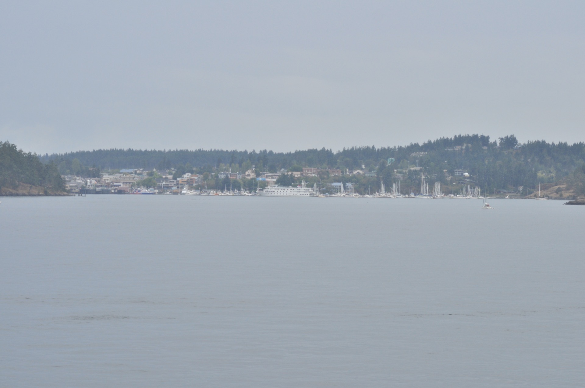 Friday Harbor on San Juan Island seen from the ferry