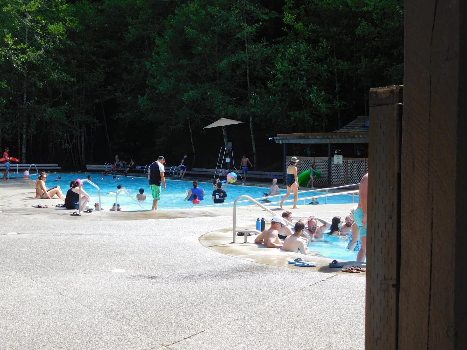 Visitors relaxing in a mineral hot springs pool at a Washington State resort, with tall conifers rising behind the pool deck