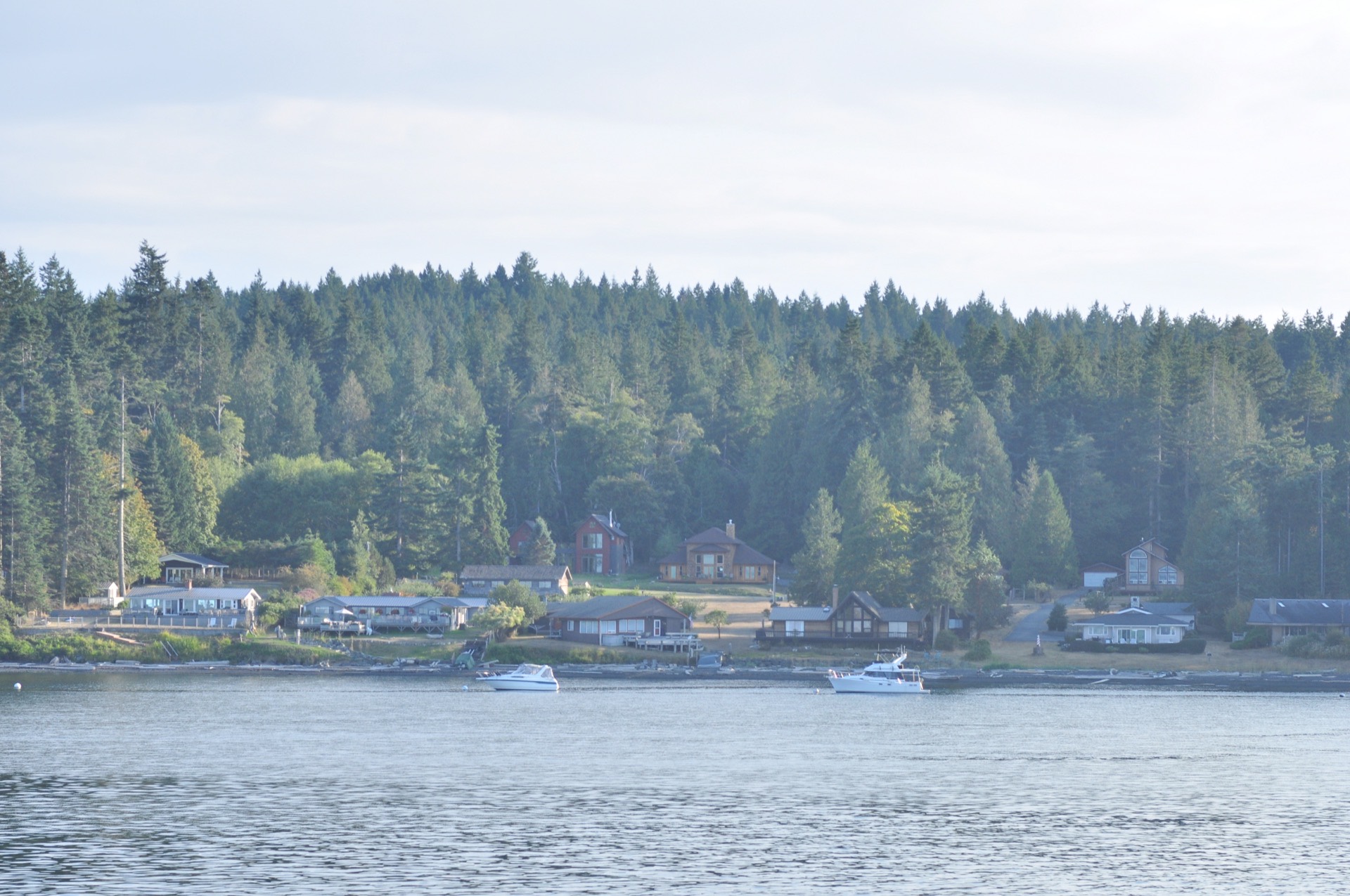 Houses on San Juan Island viewed from the Washington State Ferry deck as it approaches from Anacortes