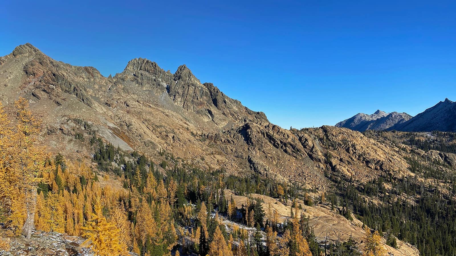 Golden larch trees glowing amber-gold at Ingalls Pass in the Alpine Lakes Wilderness, Washington