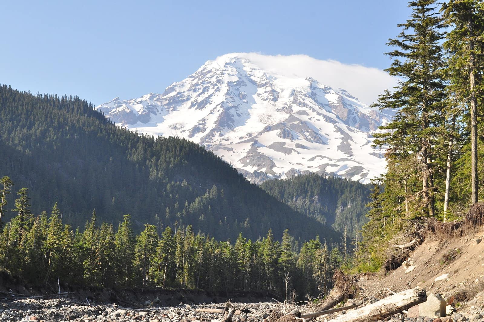 Mount Rainier rising above the Nisqually River valley near Cougar Rock Campground